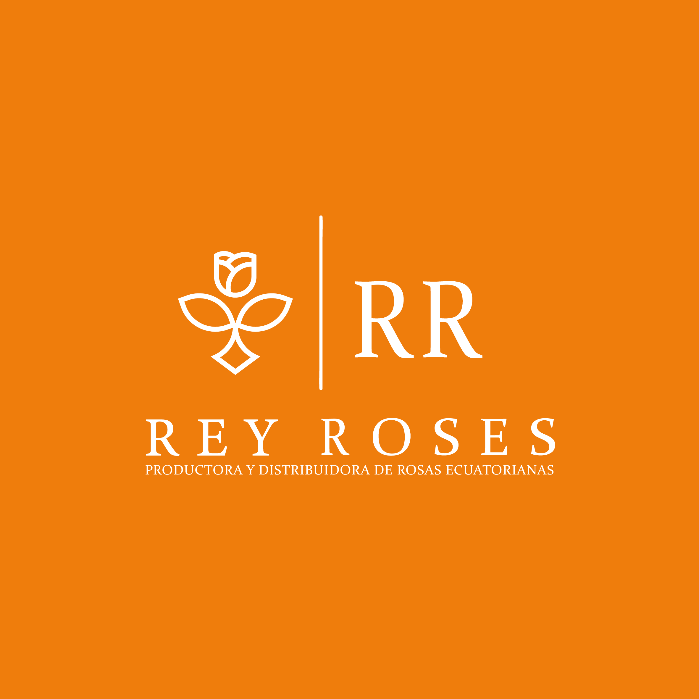 Rey Roses